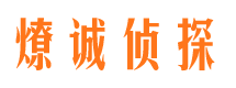 南郊市私家侦探